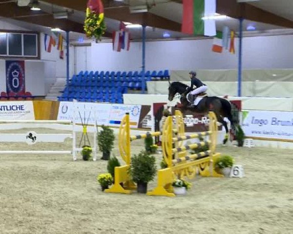 jumper Farlo (Oldenburg, 2005, from Farewell III)