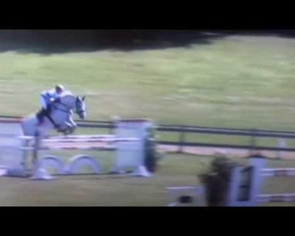 jumper Crack 23 (Holsteiner, 1999, from Carolus I)
