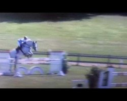 jumper Crack 23 (Holsteiner, 1999, from Carolus I)