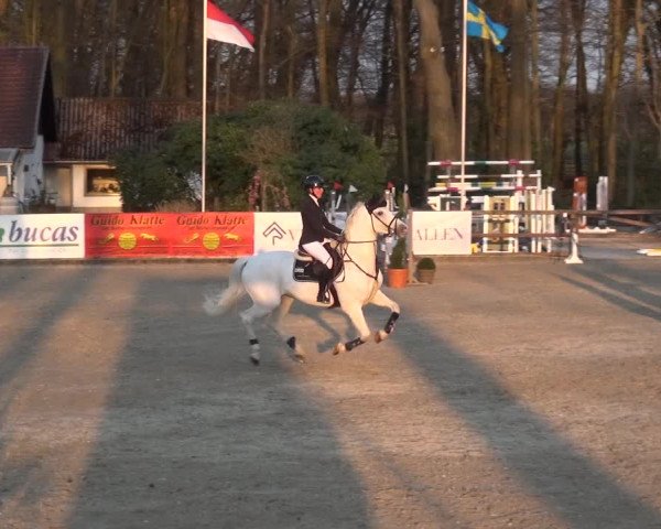 Reitturnier Klein Roscharden 2021