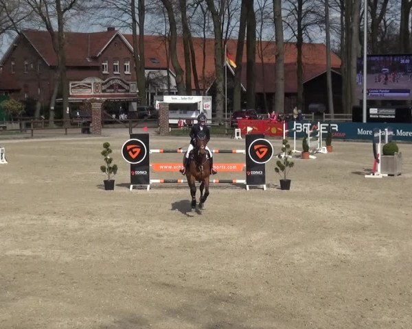 Reitturnier Klein Roscharden 2021