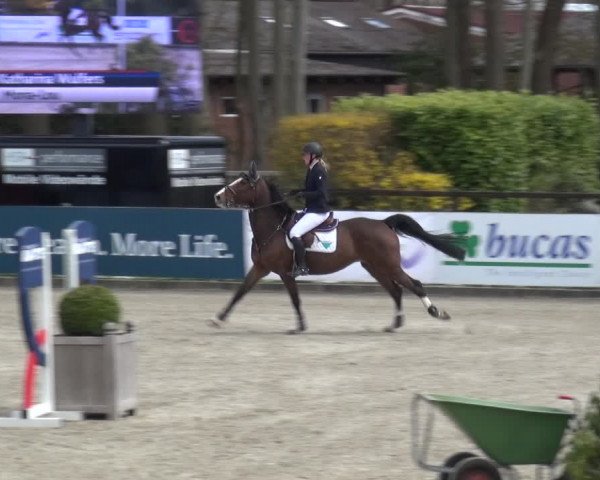 Reitturnier Klein Roscharden 2021