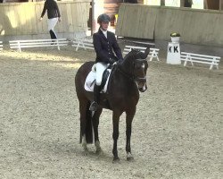 Dressurpferd Capri 94 (Württemberger, 2007, von Colman)