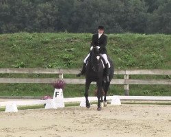dressage horse Roncalli 120 (Hanoverian, 2005, from Rotspon)