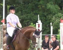 dressage horse Devil's Girl 2 (Württemberger, 2006, from Dacaprio)