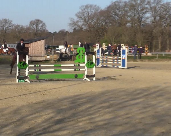 Reitturnier Coesfeld-Lette 2021