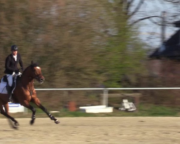 Reitturnier Coesfeld-Lette 2021