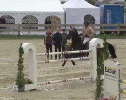 jumper Corado 99 (Westphalian, 2006, from Collin L)