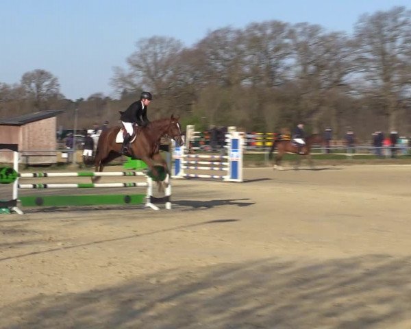 Reitturnier Coesfeld-Lette 2021