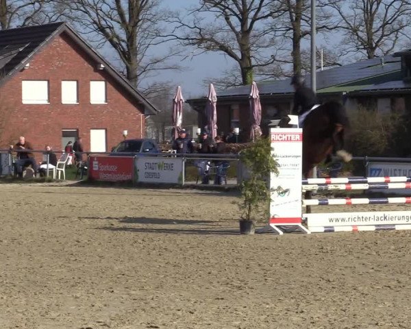 Reitturnier Coesfeld-Lette 2021