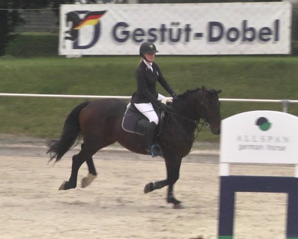 Reitturnier Durmersheim-Hardt 2021