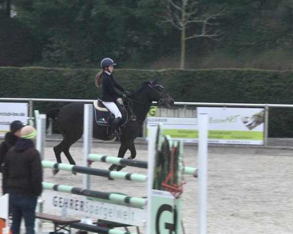 Reitturnier Durmersheim-Hardt 2021