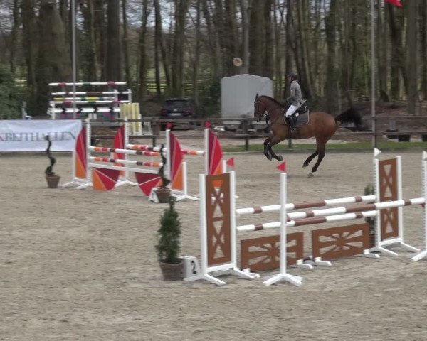 Reitturnier Klein Roscharden 2021