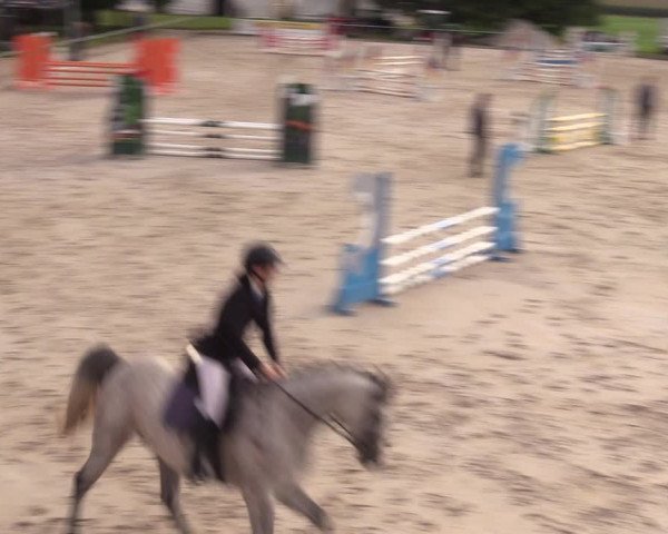 Springreitturnier Hohburg 2021