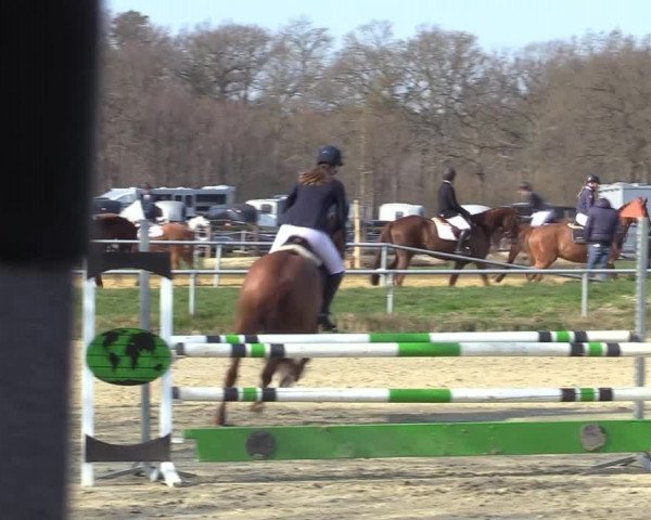 Reitturnier Coesfeld-Lette 2021