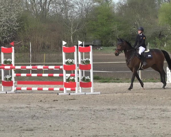 Reitturnier Lampertheim 2021