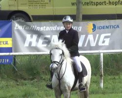 Springpferd Jacko 24 (unbekannt, 1995)