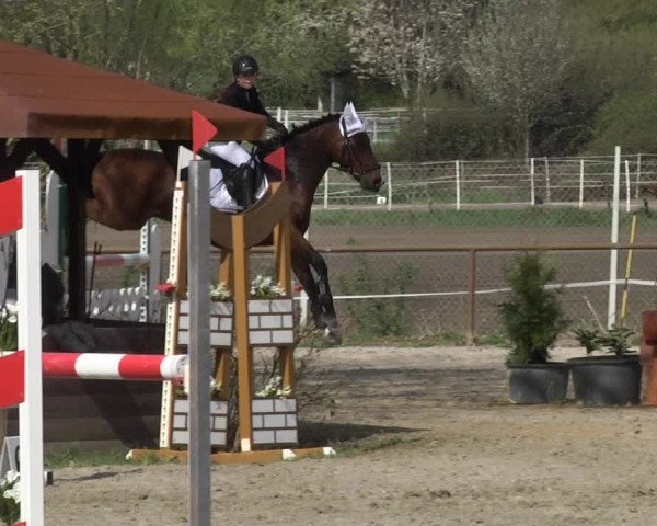 Reitturnier Lampertheim 2021