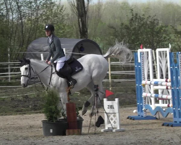 Reitturnier Lampertheim 2021