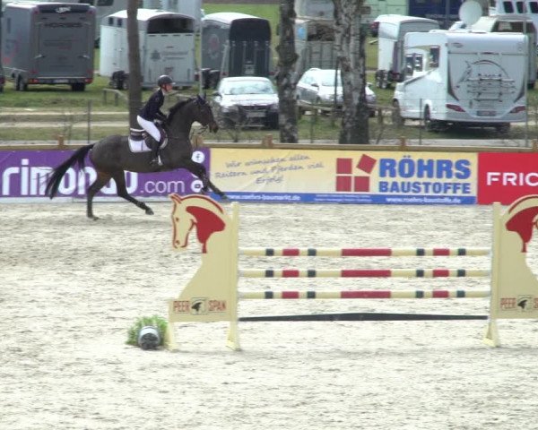 FEI Reitturnier Westergellersen (GER) 2021