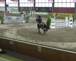 Springpferd Felina 137 (Hannoveraner, 2003, von For Keeps)