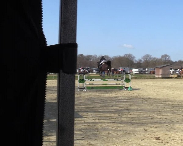 Reitturnier Coesfeld-Lette 2021