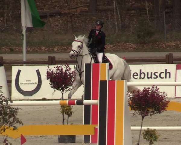 FEI Reitturnier Westergellersen (GER) 2021