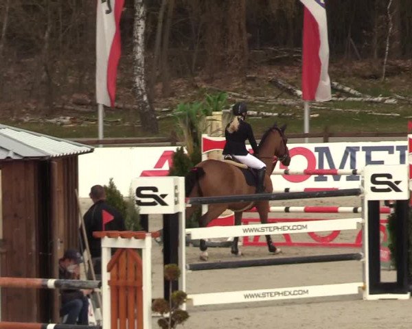 FEI Reitturnier Westergellersen (GER) 2021