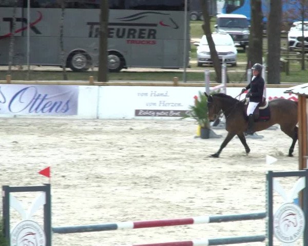 FEI Reitturnier Westergellersen (GER) 2021