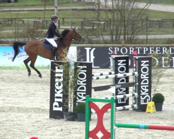 FEI Reitturnier Westergellersen (GER) 2021