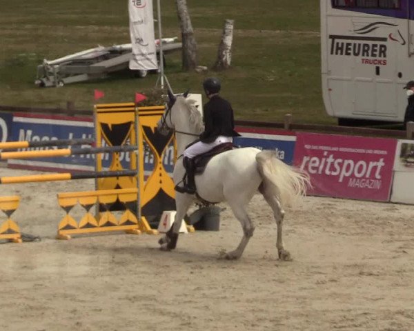 FEI Reitturnier Westergellersen (GER) 2021