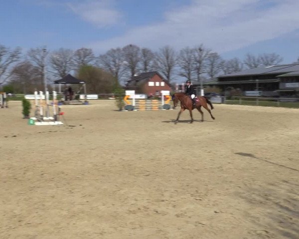 Reitturnier Coesfeld-Lette 2021