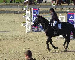 jumper Conti 18 (Hanoverian, 1996)