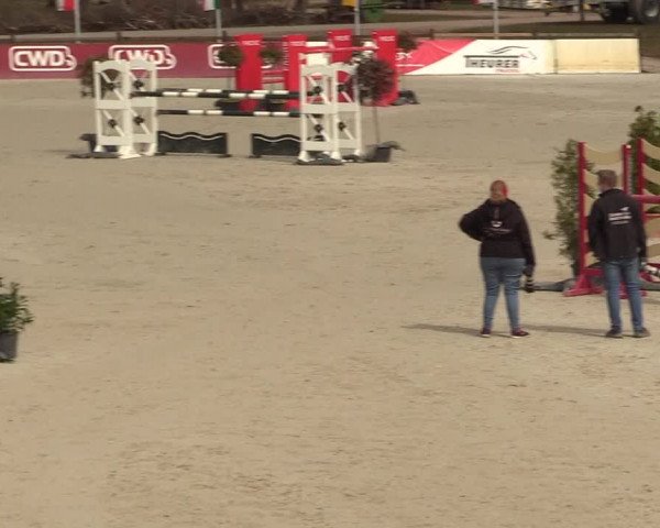 FEI Reitturnier Westergellersen (GER) 2021