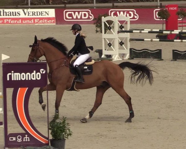 FEI Reitturnier Westergellersen (GER) 2021