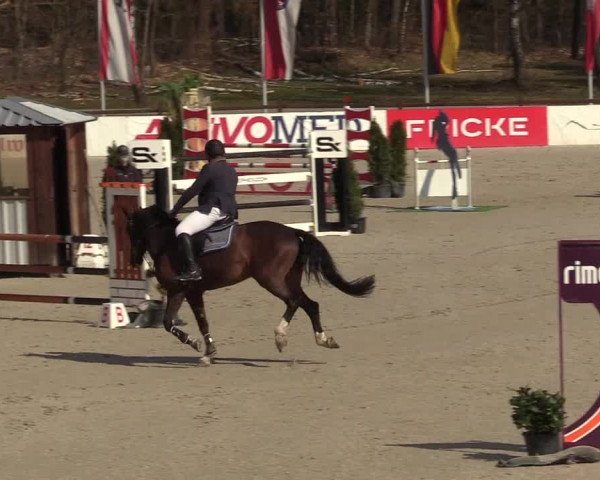 FEI Reitturnier Westergellersen (GER) 2021