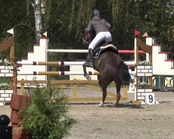 Reitturnier Lampertheim 2021