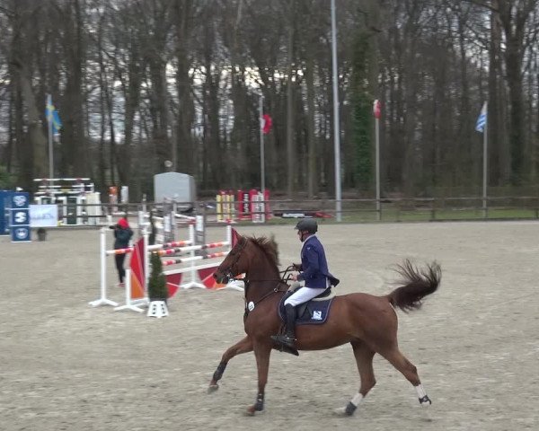 Reitturnier Klein Roscharden 2021
