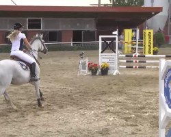 broodmare Fatima 358 (Oldenburg, 2003, from Get Smart)