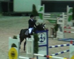 broodmare Roma 121 (Croatian Warmblood, 1998, from Eurostar I)