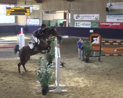 jumper Pamina 436 (unknown, 2005)