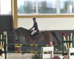 jumper Corano 20 (unknown, 2005)