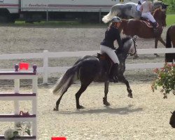 jumper Che Figa (Württemberger, 2006, from Colman)
