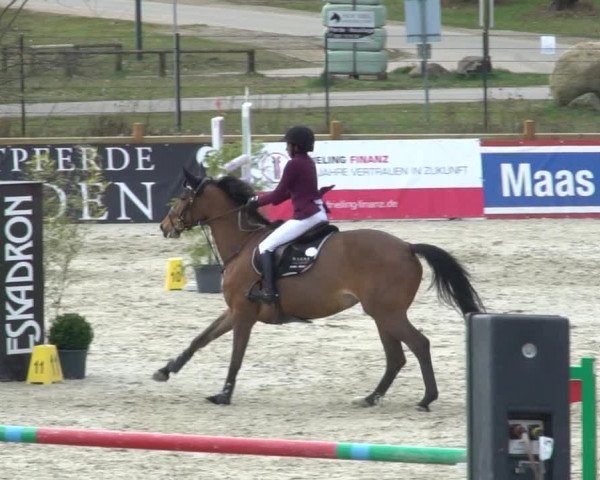 FEI Reitturnier Westergellersen (GER) 2021