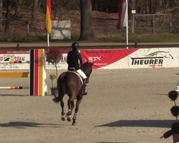 FEI Reitturnier Westergellersen (GER) 2021