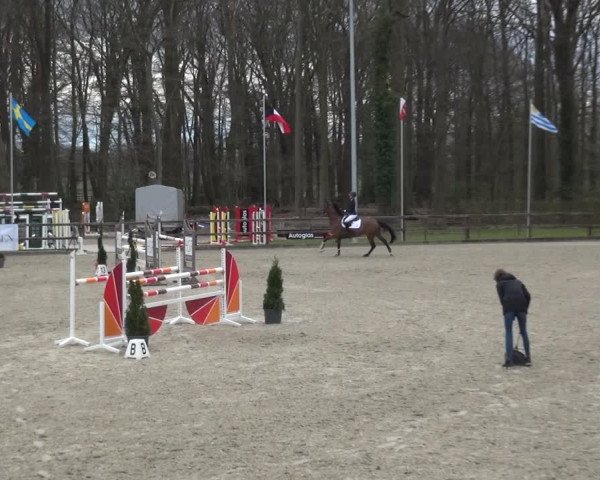 Reitturnier Klein Roscharden 2021