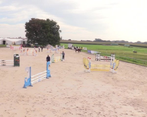 Springreitturnier Hohburg 2021
