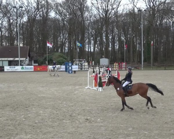 Reitturnier Klein Roscharden 2021