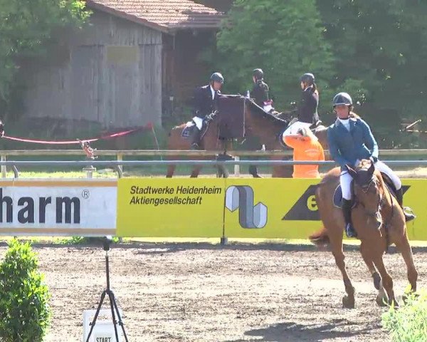 jumper Charles 70 (Holsteiner, 2006, from Coriano)