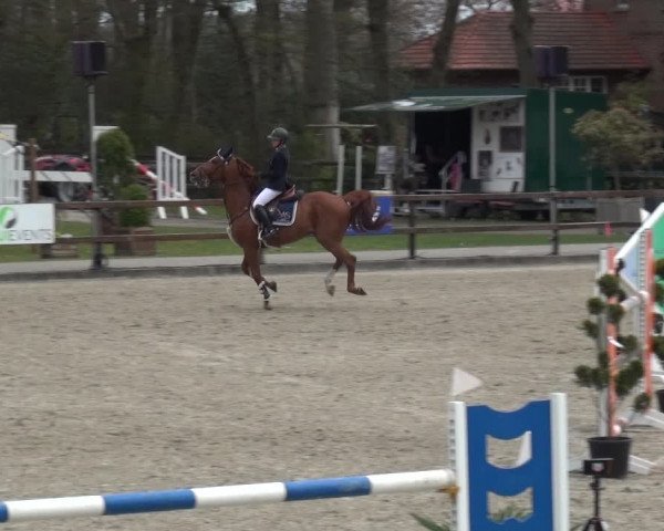 Reitturnier Klein Roscharden 2021